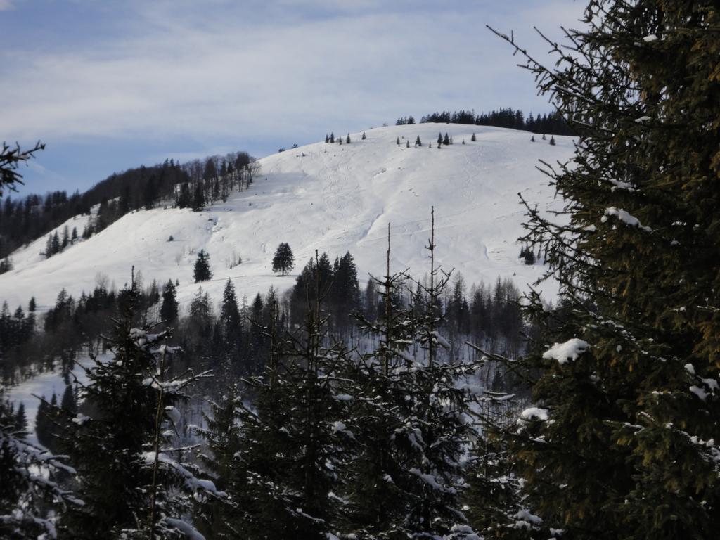 Ferienwohnungen Vordergriess Hochfilzen Exteriér fotografie