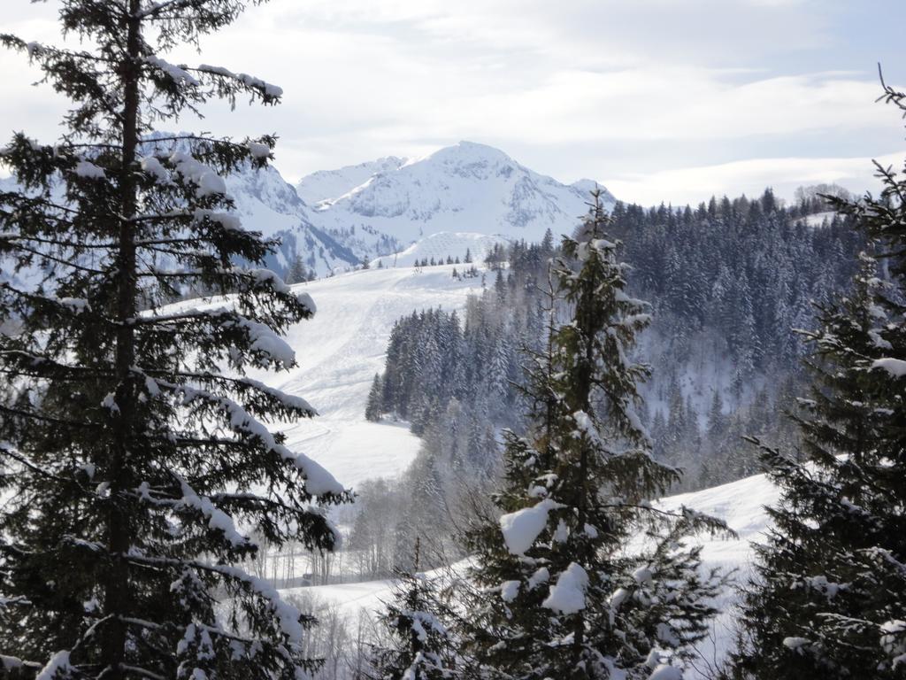 Ferienwohnungen Vordergriess Hochfilzen Exteriér fotografie