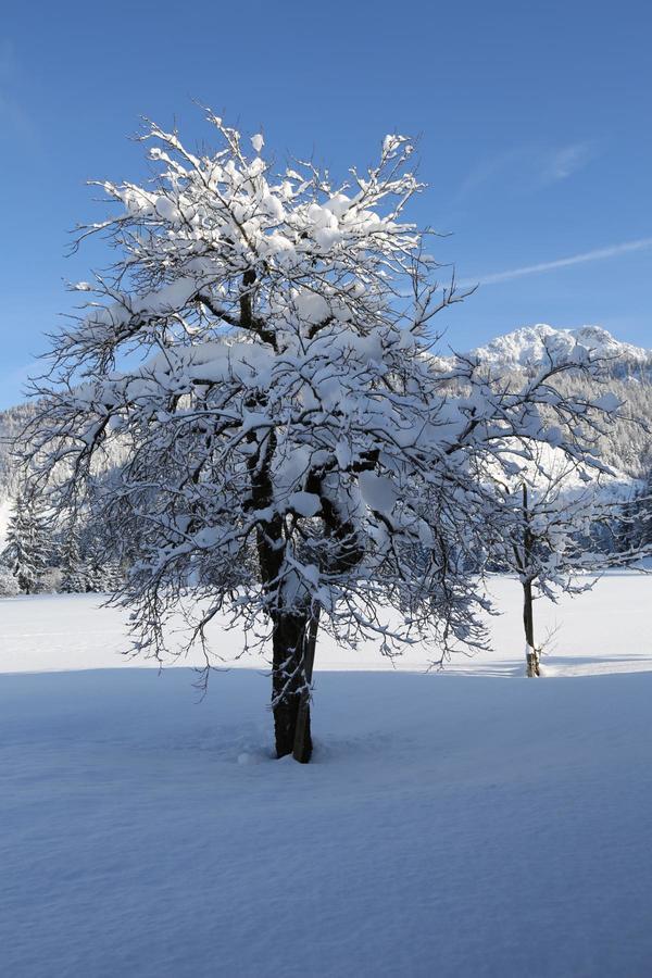 Ferienwohnungen Vordergriess Hochfilzen Exteriér fotografie